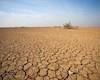 خشکسالی و بحران جهانی انرژی برق آبی