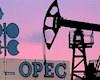 زمزمه‌های اوپک از بازگشت نفت به ۱۰۰ دلار