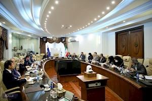 دیدار معاون امور بین‌الملل و بازرگانی وزیر نفت با هیئتی از تاجیکستان